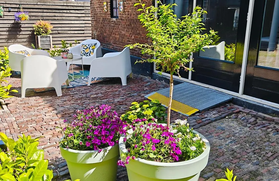 B & B Diever-1